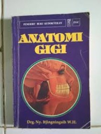 Anatomi Gigi